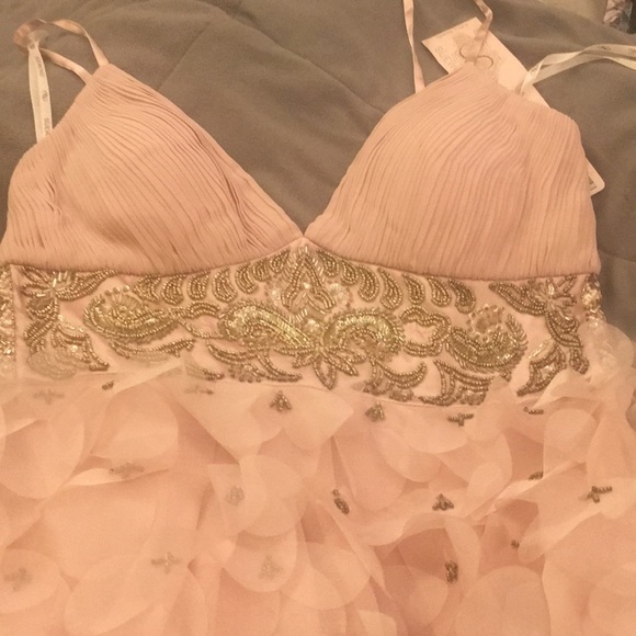 Sue Wong Nocturne Dresses & Skirts - (10) SUE WONG  Nocturne midi dress rose colour